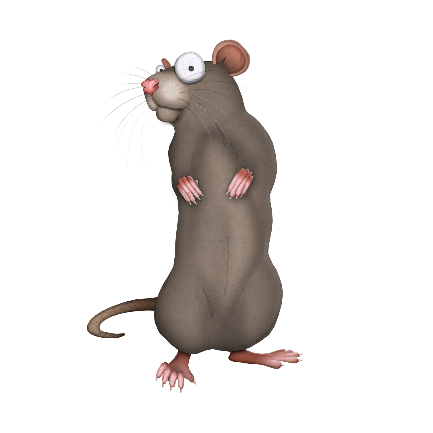 Rowan the Rat